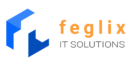 Feglix IT Solutions